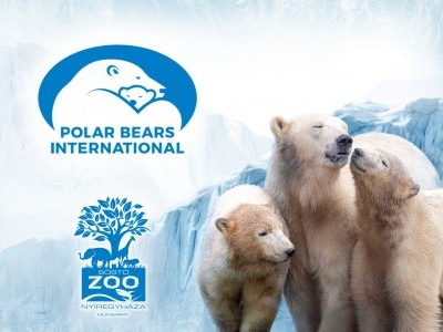 In-situ programme supported