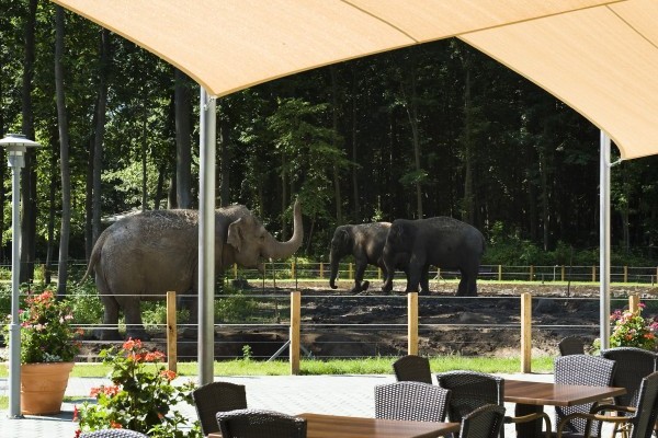 Sumatra Restaurant in the Green Pyramid building at the S&oacute;st&oacute; Zoo!