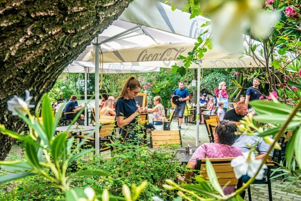 Jungle Restaurant at the foot of the Tarzan Trail!