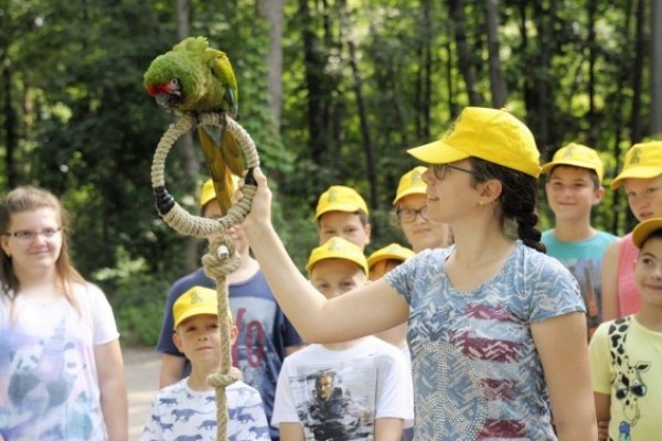 Zoosuli a SóstóZoo-ban