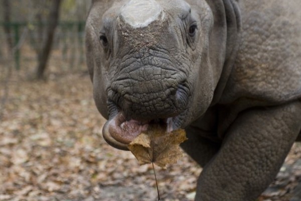 Ma van a Vadvilág Világnapja!