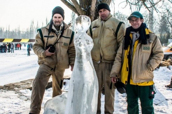 Különdíjas lett Állatparkunk csapatának jégszobra