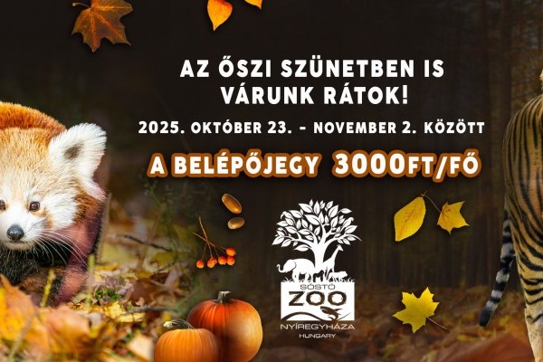 Kedvezmény az őszi szünetben