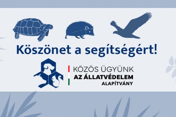 321 mentett egyed él jelenleg a Nyíregyházi Állatparkban