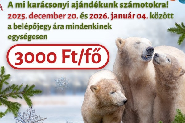 Kedvezményes belépés a téli szünetben