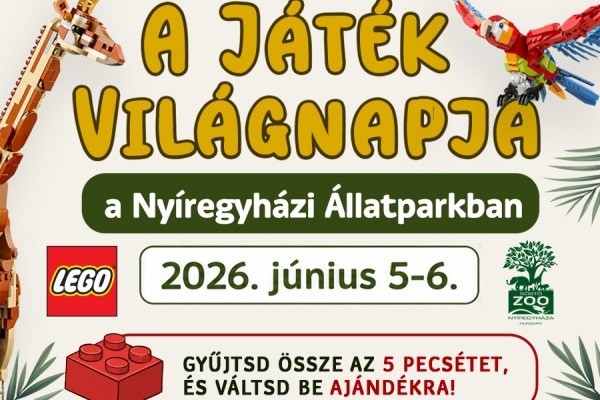 A Játék Világnapja