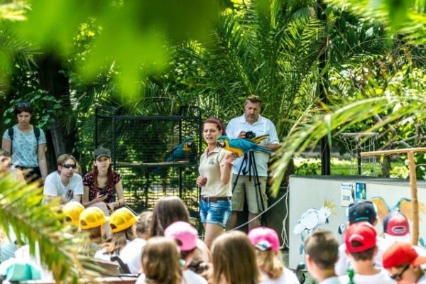 Több ezer fogyatékkal élőt és családját láttuk vendégül