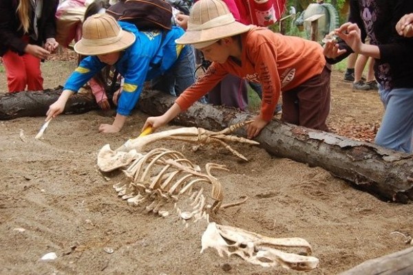 MúzeumoZOO az Állatparkban