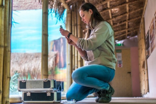 Állatparkunk munkatársa, Kiss Renáta lett a közönségdíjas, az Év Állatgyógyászati Asszisztense megmérettetésen