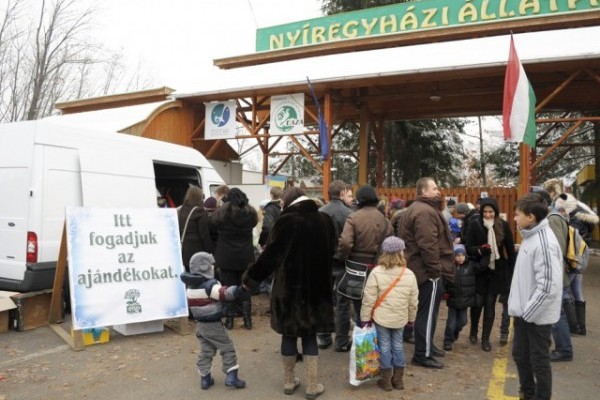 A rossz idő ellenére óriási érdeklődéssel zárult a 100Ft-os nap!