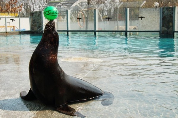 Húsvétkor is különleges élményekkel vár az Állatpark!