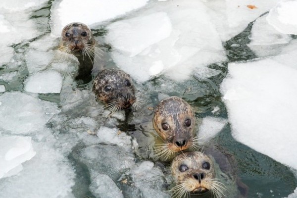 Van aki élvezi a mínuszokat