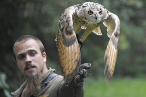 Akcióban a levegő urai!  