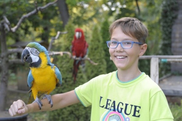 Óriási érdeklődéssel zárult az Állatok világnapja!