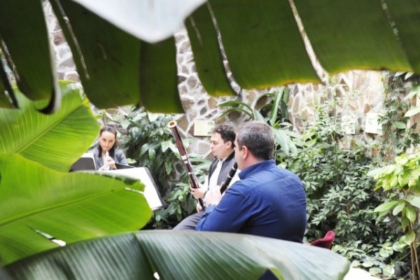 Állatparkunkba is bekopogott a Budapesti Fesztiválzenekar.