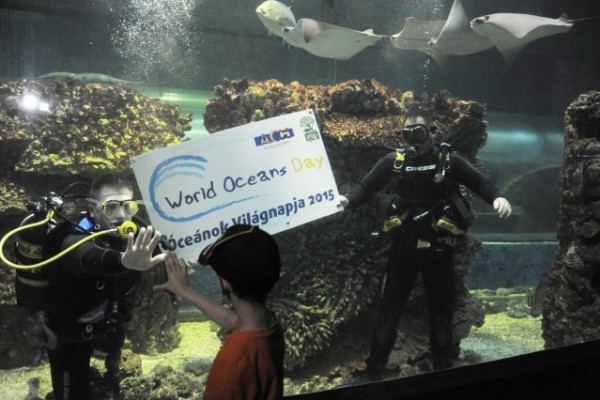Óriási érdeklődés volt az Óceánok Világnapján Állatparkunkban!