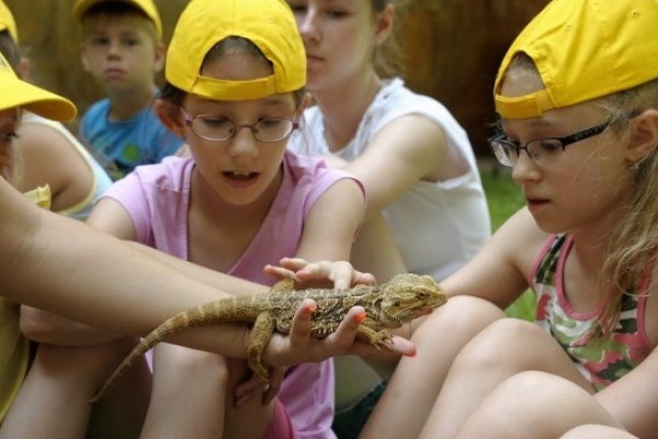 Hatalmas érdeklődéssel zárult a nyári tábor