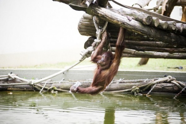 Így hűsölnek a parklakók 