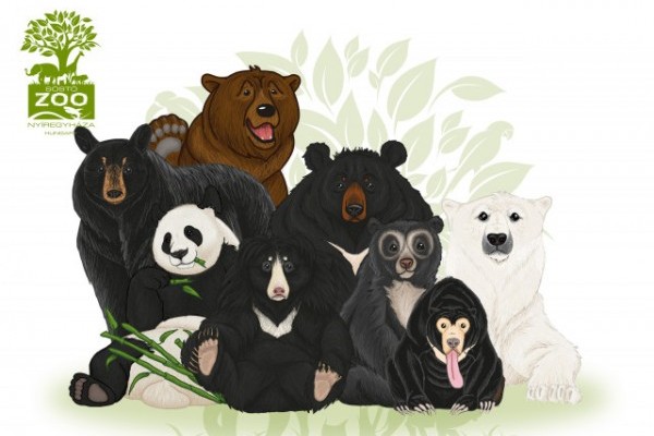 Nagy sikerrel zajlott a Nemzetközi Medve Nap a Happy Bears' Day