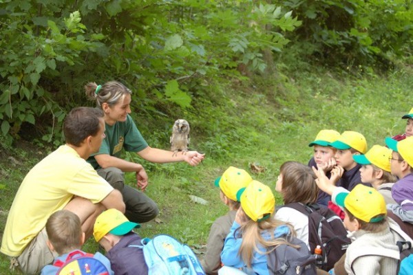 Zoo-suli 2008