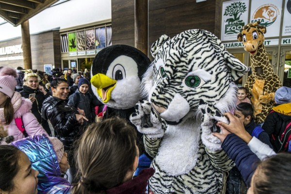 Órási összefogás keretében, rekord nagyságú adomány érkezett Állatparkunkba