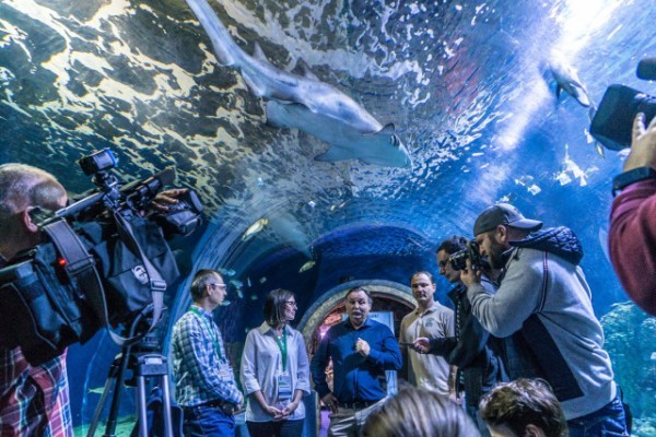 Huszonhárom éves fennállásnak legsikeresebb szezonját zárta idén a Nyíregyházi Állatpark