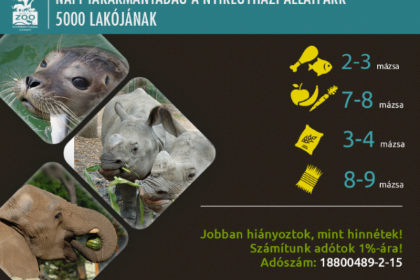 Jobban hiányoztok, mint hinnétek!