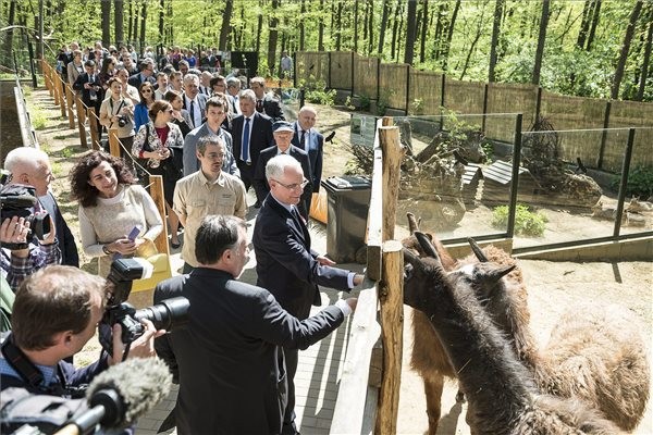 Megnyílt az Andok kalandok cikk kiemelő képe