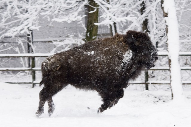 Érdemes a téli időszakban is ellátogatni hozzánk! cikk kiemelő képe