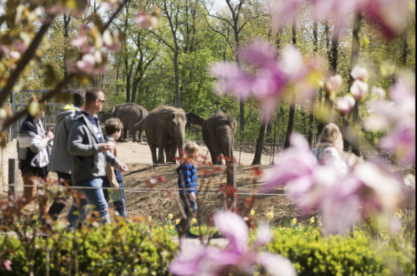 Húsvétkor is vár a Nyíregyházi Állatpark! cikk kiemelő képe