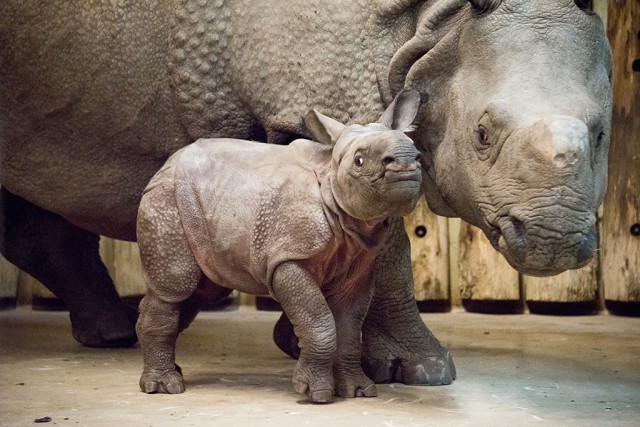 22 éves fennállásunk legsikeresebb évét zártuk cikk kiemelő képe