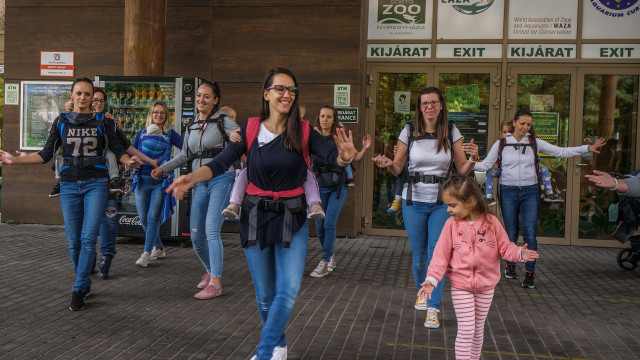 Családbarát munkahely és szolgáltatóhely tanúsító védjegyet kapott Állatparkunk cikk kiemelő képe