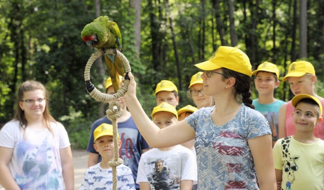 Zoosuli a SóstóZoo-ban cikk kiemelő képe