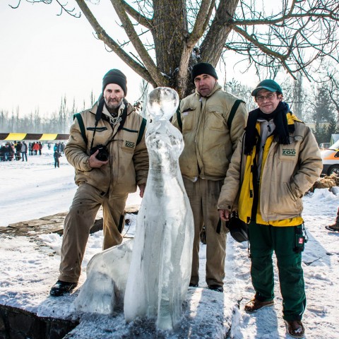 Különdíjas lett Állatparkunk csapatának jégszobra cikk kiemelő képe