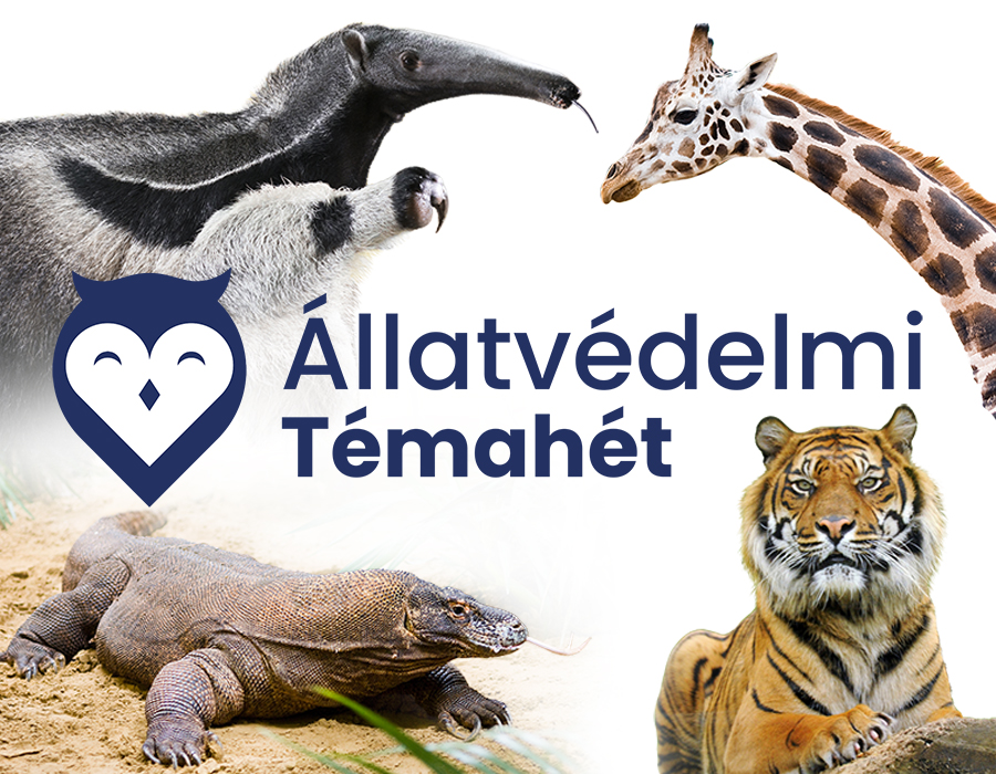 Állatvédelmi témahét a Nyíregyházi Állatparkban cikk kiemelő képe