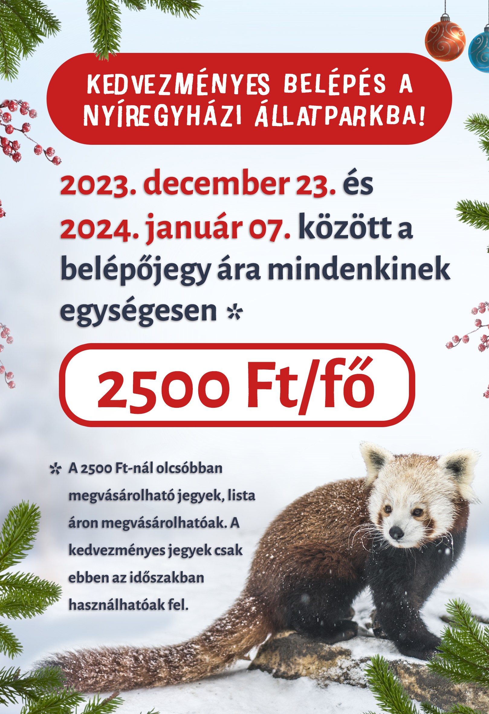 Van egy karácsonyi ajándékunk a számotokra!