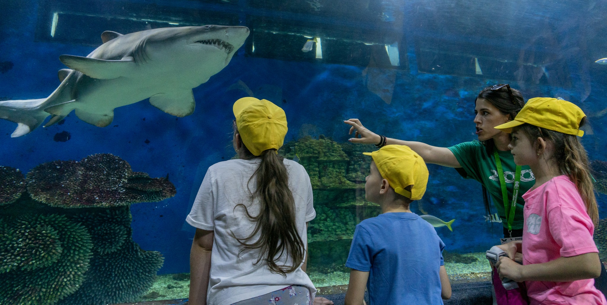 Március 3 a Vadvilág Világnapja cikk kiemelő képe