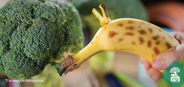 Különleges köztéri kampányt indítottunk cikk kiemelő képe