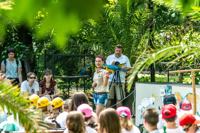 Több ezer fogyatékkal élőt és családját láttuk vendégül cikk kiemelő képe