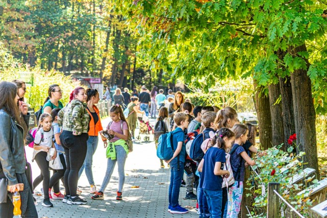 Óriási érdeklődéssel zajlott az Állatok Világnapja cikk kiemelő képe