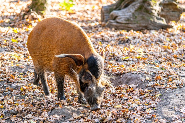 Őszi helyzetjelentés cikk kiemelő képe