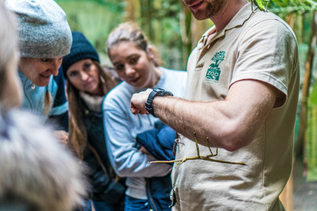 Óriási érdeklődéssel zajlott Állatparkunk karácsonyi családi napja! cikk kiemelő képe