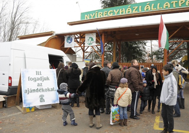 A rossz idő ellenére óriási érdeklődéssel zárult a 100Ft-os nap! cikk kiemelő képe