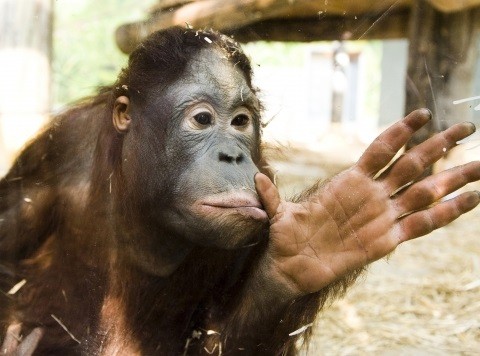 SZÁMÍTUNK RÁ(d)! 1% sokat számít! cikk kiemelő képe