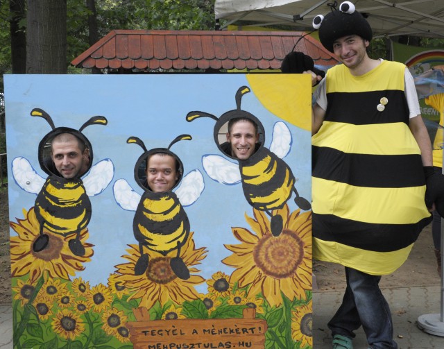 A méhekért kampányolunk a Greenpeace Magyarországgal közösen!    cikk kiemelő képe