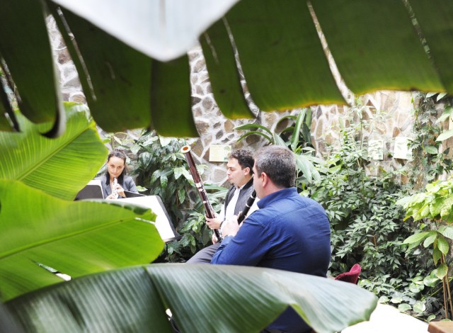 Állatparkunkba is bekopogott a Budapesti Fesztiválzenekar. cikk kiemelő képe