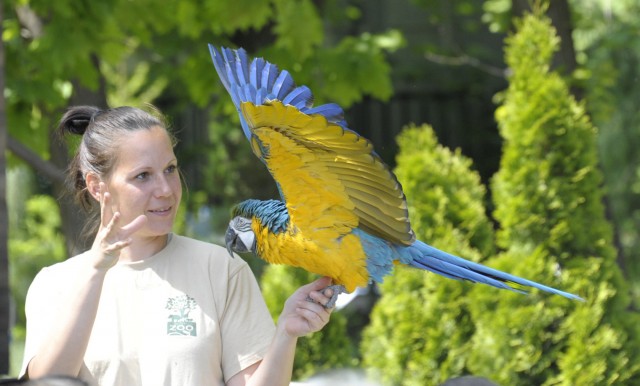 Gyere, s tekints a kulisszák mögé!  cikk kiemelő képe