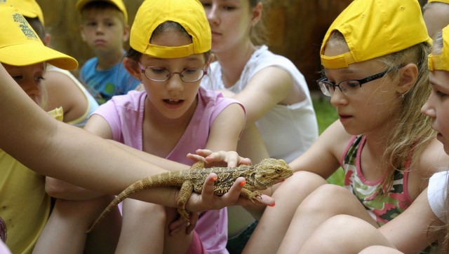 Hatalmas érdeklődéssel zárult a nyári tábor cikk kiemelő képe