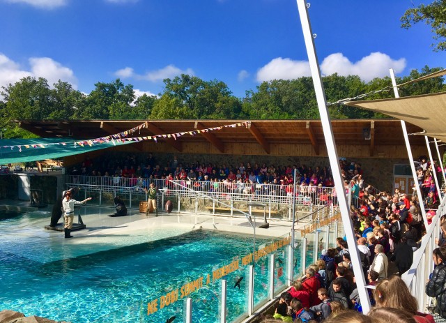 Idén is "Ez a te napod rendezvény" az Állatparkban cikk kiemelő képe