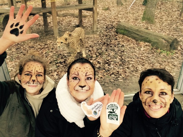 December 4   Nemzetközi Gepárd Nap cikk kiemelő képe